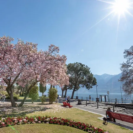 Junior Classic.23 * Ascona
